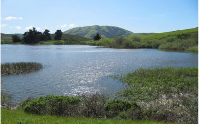 THE NICASIO RESERVOIR